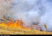 شعله‌های آتش به جان جنگل‌های فارس افتاد؛ مرز مشترک شیراز و کازرون در آتش می‌سوزد