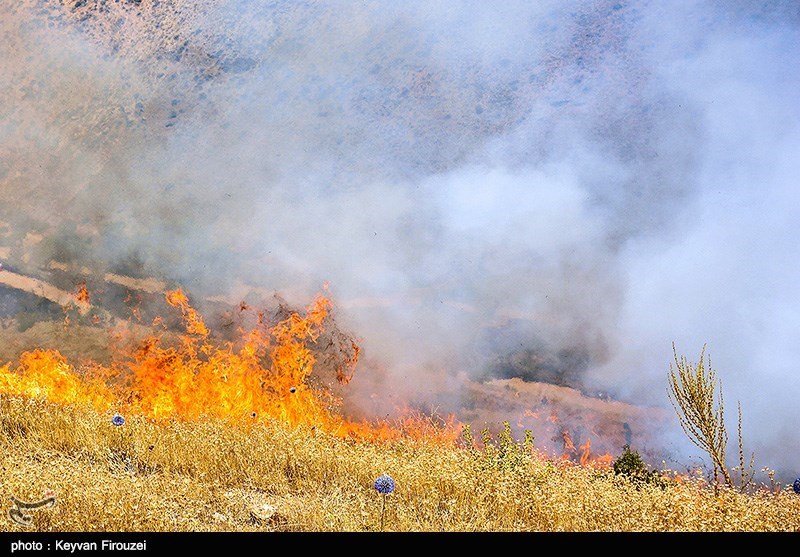 1958 هکتار از مراتع استان مرکزی در آتش سوخت