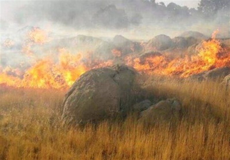 «آتش سوء مدیریت» بر پیکره جنگل‌ها و مراتع ایلام همچنان ادامه دارد