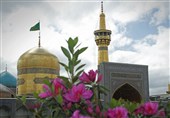 قبة الامام الرضا علیه السلام ؛ الإطار المشترک لجمیع عدسات الکامیرات