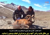 منت‌‌گذاشتن شکارچی خارجی بر مردم ایران + فیلم