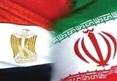 "محمد حسین سلطانی فر" رئیساً لمکتب رعایة المصالح الإیرانیة فی القاهرة