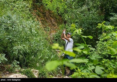 ایران: صوبہ فارس کی جنت نظیر وادی &#39;&#39;تنگ براق&#39;&#39; کے مناظر کی تصویری جھلکیاں