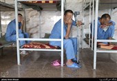 طرح ساماندهی معتادان متجاهر در استان مرکزی اجرا می‌شود
