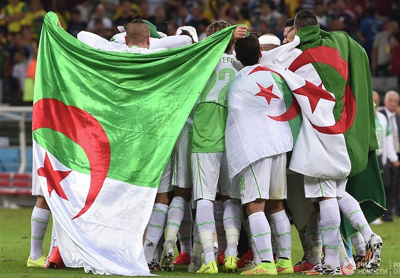 فوتبال جهان| حمایت مصر از هواداران الجزایری در فینال جام ملت‌های آفریقا