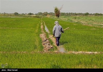 بوسینا یا به زبان محلی(ابو سین-نام این روستا از گیاه ابوسین گرفته شده) از توابع شهرستان کارون در خوزستان،نزدیک به 30 خانوار جمعیت دارد