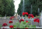 رونمایی باغ زیبای شاهزاده ماهان در تابستان به روایت تصویر