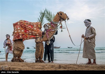  به عقیده صیادان، این روز نخستین روز از فصل گرمای واقعی است. این آیین، ریشه در تاریخ و فرهنگ کهن جنوب ایران دارد، آیینی مردمی که به صورت خودجوش و با اجرای بازی‌های محلی، مسابقات محلی، غواصی، قایقرانی و شنا برگزار می‌شود. متأسفانه در حال حاضر در خلیج فارس در بسیاری از مناطق منسوخ شده است، اما همچنان در قشم اجرا می‌شود.