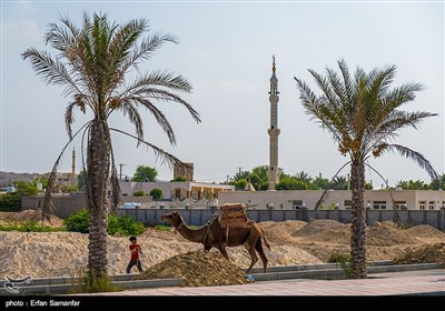  به عقیده صیادان، این روز نخستین روز از فصل گرمای واقعی است. این آیین، ریشه در تاریخ و فرهنگ کهن جنوب ایران دارد، آیینی مردمی که به صورت خودجوش و با اجرای بازی‌های محلی، مسابقات محلی، غواصی، قایقرانی و شنا برگزار می‌شود. متأسفانه در حال حاضر در خلیج فارس در بسیاری از مناطق منسوخ شده است، اما همچنان در قشم اجرا می‌شود.