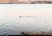 وزیر نیرو برای حل مشکل تخصیص آب سدهای کردستان به وعده خود عمل نکرد