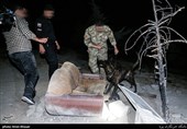 استفاده از سگهای موادیاب در عملیات دستگیری خرده‌فروشان موادمخدر