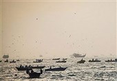 870 قایق صیادی استان بوشهر مجوز صید میگو دریافت کردند