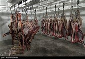 متهم پرونده گوشت‌های برزیلی: 5 هزار تن گوشت گم شد!
