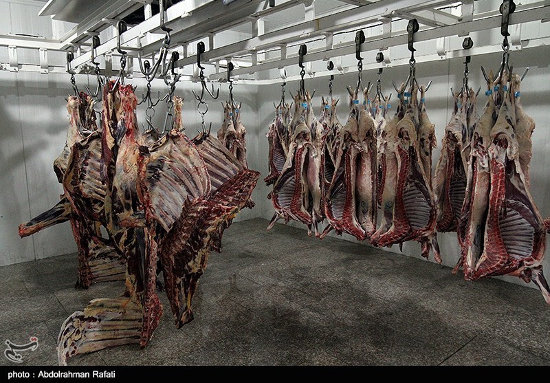 تعزیرات: گوشت گوساله را با سه برابر قیمت واقعی به دست مردم می‌رسانند