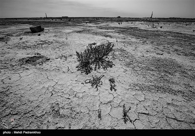 در حالی که بیش از 80 روستای این بخش هنوز هم آب و جاده و مدرسه و بهداشت مناسبی ندارند حالا بخش غیزانیه بحرانی ترین کانون گرد و غبار خوزستان را نیز در خود جای داده است