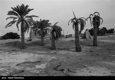 در حالی که بیش از 80 روستای این بخش هنوز هم آب و جاده و مدرسه و بهداشت مناسبی ندارند حالا بخش غیزانیه بحرانی ترین کانون گرد و غبار خوزستان را نیز در خود جای داده است