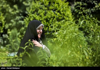 معصومه ابتکار معاون امور زنان و خانواده رئیس جمهور در حاشیه جلسه هیئت دولت