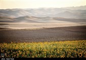 کشاورزی ایران در یک نگاه/ می‌توان با رونق کشاورزی اقتصاد ایران را نجات داد؟