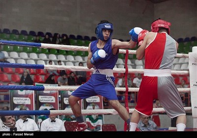 مسابقات بوکس قهرمانی جوانان کشور و انتخابی تیم ملی، از پنجم مرداد به میزبانی کرمانشاه آغاز شد. 
