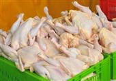 میزان تولید مرغ در کشور بسیار بیشتر از تقاضای بازار است