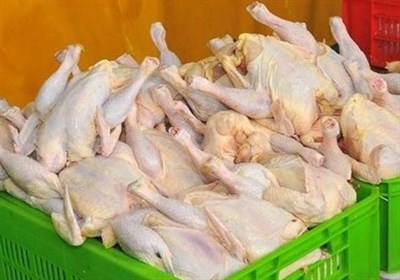  میزان تولید مرغ در کشور بسیار بیشتر از تقاضای بازار است 