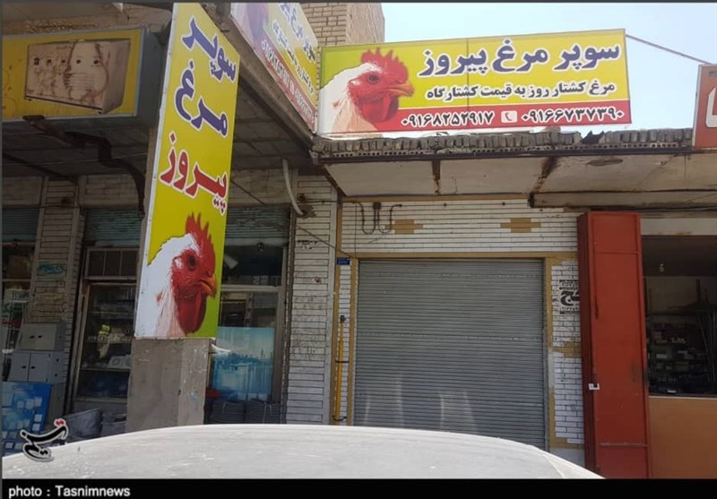 نابسامانی بازار مرغ در بهبهان همچنان ادامه دارد؛ ضرر هنگفت مرغداران مانع از توزیع مرغ می‌شود