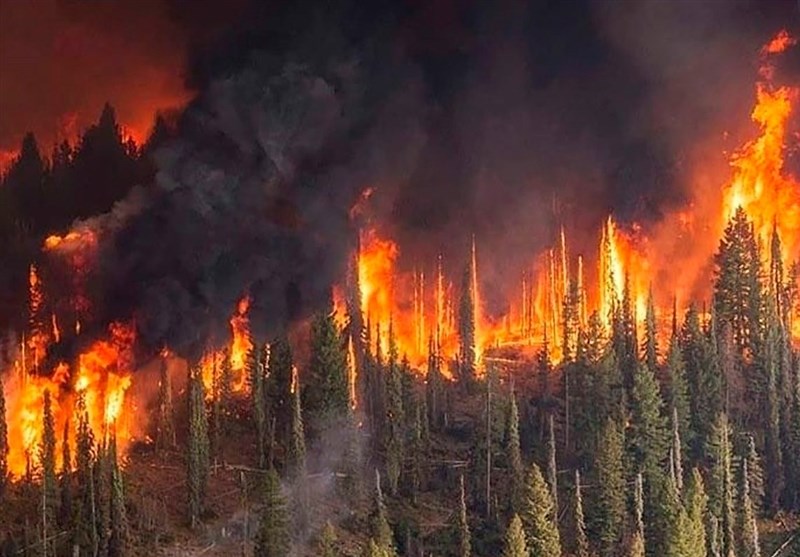 آتش به جان ثروت‌های طبیعی روسیه افتاده است + تصاویر