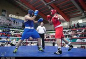 مسابقات انتخابی تیمملی بوکس در کردستان برگزار میشود/عزم بوکسورها برای کسب مدال آسیایی و سهمیه المپیک