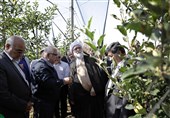 بازدید تولیت آستان قدس رضوی از مزرعه نمونه رضوی به روایت تصویر