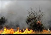 آذربایجان شرقی| کانون اصلی آتش سوزی جنگل‌ها و مراتع ارسباران پس از 5 روز مهار شد
