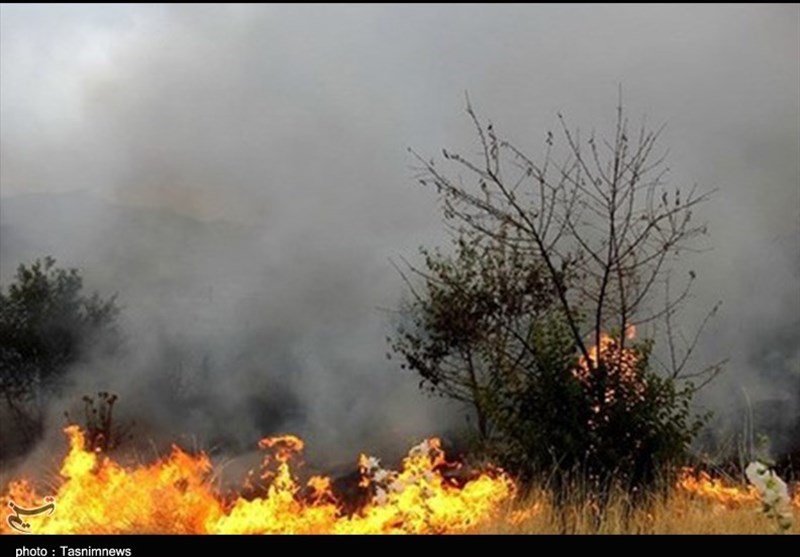 آذربایجان شرقی| کانون اصلی آتش سوزی جنگل‌ها و مراتع ارسباران پس از 5 روز مهار شد