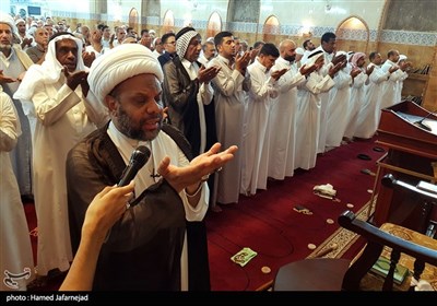 شیخ کاظم العمری امام جماعت مسجد شیعیان