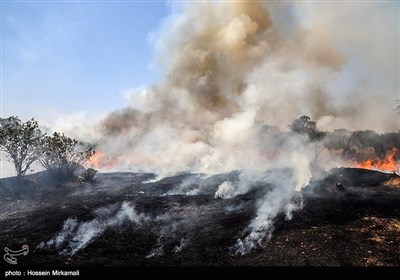 آتش سوزی باغستان یکهزار ساله سنتی قزوین