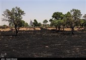 آتشسوزی در منطقه حفاظت شده دنا