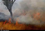 مدیرکل مدیریت بحران استان قزوین: از ابتدای امسال 425 هکتار از اراضی ملی قزوین در آتش سوخت