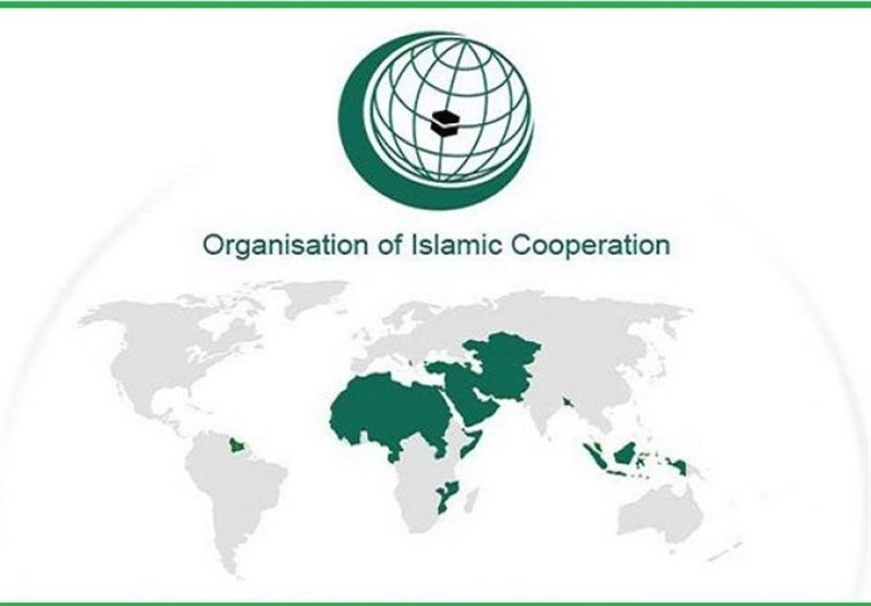 Iran Commends OIC for Backing Palestine, Push for Peace in Muslim World