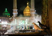 اعلام برنامه‌های وفات سیدالکریم (ع) در شهرری/ آستان مقدس حضرت عبدالعظیم(ع) میزبان زائران عزاداری است