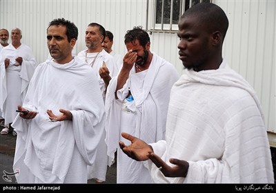 Hajj Pilgrims Pray at Mount Arafat to Mark Most Important Day of Hajj