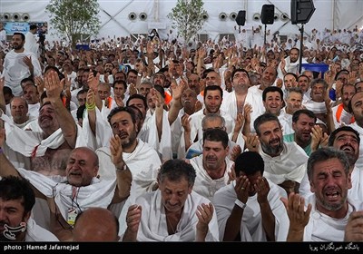 Hajj Pilgrims Pray at Mount Arafat to Mark Most Important Day of Hajj