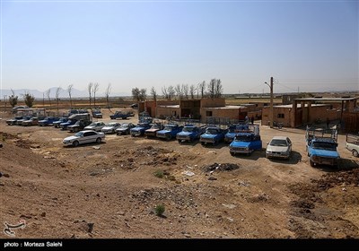 عید قربان (روز دهم ذی الحجه) یکی از مهم‌ترین اعیاد مسلمانان است و خرید و فروش دام در آستانه این روز گرمتر از همیشه است.