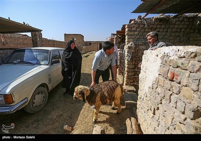 عید قربان (روز دهم ذی الحجه) یکی از مهم‌ترین اعیاد مسلمانان است و خرید و فروش دام در آستانه این روز گرمتر از همیشه است.