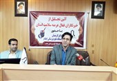 مرکز آنژیوگرافی قلب در ایلام راهاندازی میشود