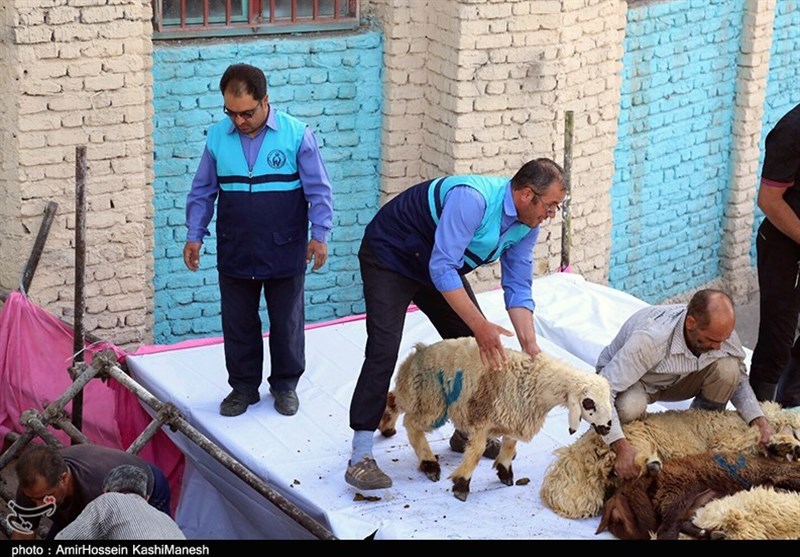بازرسی‌ مسئولان اردبیل از بازار گوشت قرمز در استان تشدید شد + فیلم