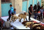 کردستان| ذبح دام در عید قربان تنها در کشتارگاه‌ها مجاز است