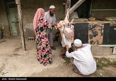 عید قربان در قزاق محله در شهرستان بندر ترکمن