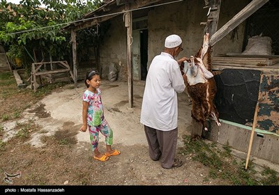 عید قربان در قزاق محله در شهرستان بندر ترکمن