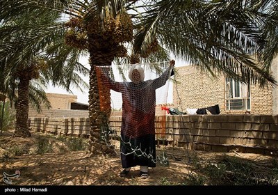 عبدالحسن تنها فرد باقی مانده از نسلی است كه سال های سال تور بافته اند و برادرانش كه پس از او اين كار را انجام می دادند همگي از دنيا رفته اند و ميراث تور بافی را برای ابو عباس به يادگار گذاشته اند. 