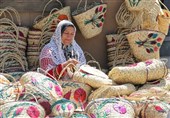 ابتکار: فعالیت اقتصادی زنان روستایی و عشایر با توان‌افزایی عملیاتی می‌شود