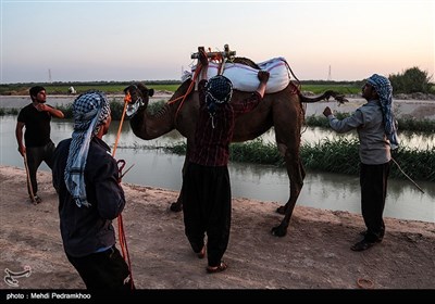 نخستین دوره مسابقات شتر سواری در روستای شیخ زهراب از توابع شهرستان حمیدیه 