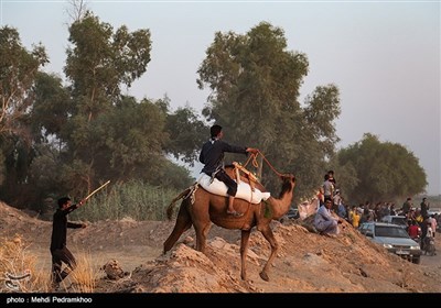 نخستین دوره مسابقات شتر سواری در روستای شیخ زهراب از توابع شهرستان حمیدیه 